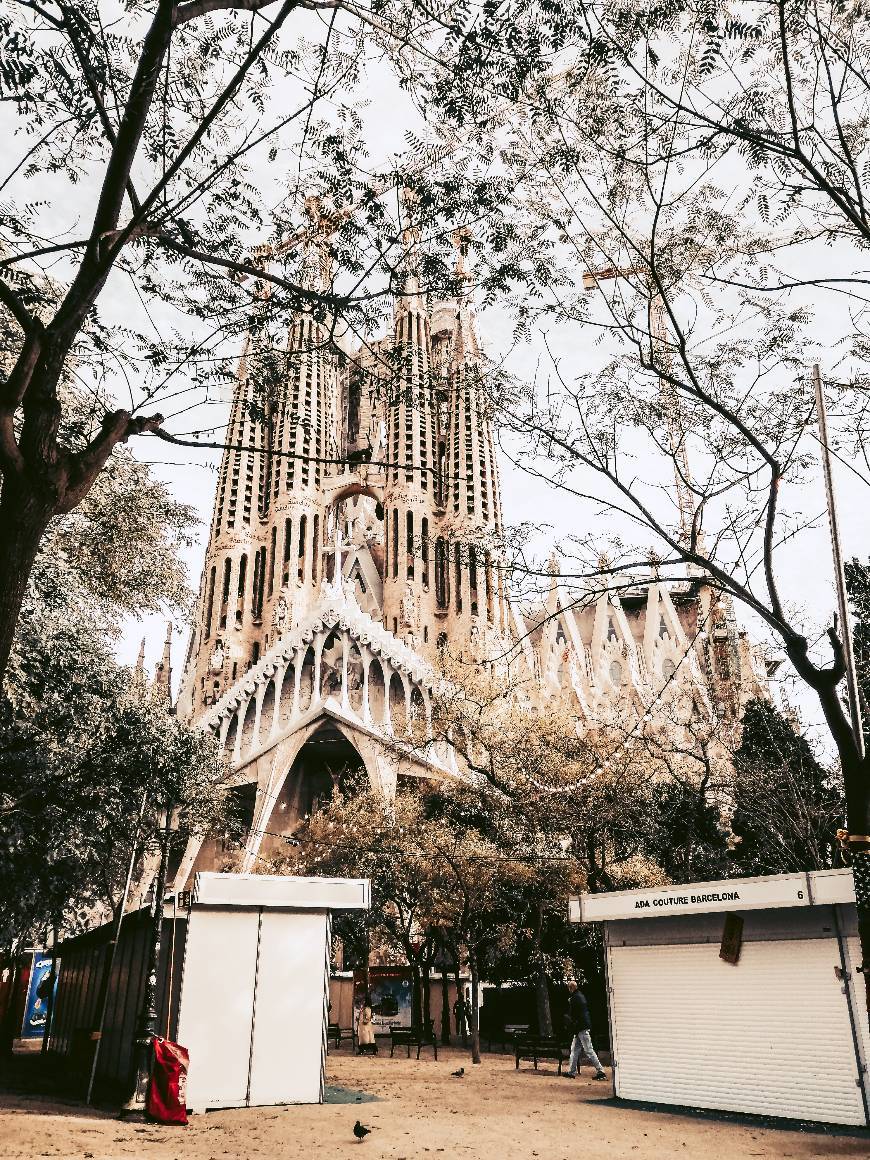 Place Plaça de la Sagrada Família