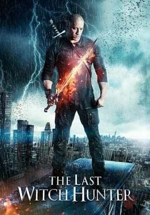 Película The Last Witch Hunter