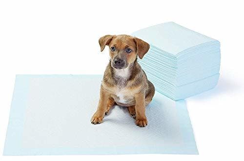 Producto AmazonBasics - Toallitas de entrenamiento para mascotas