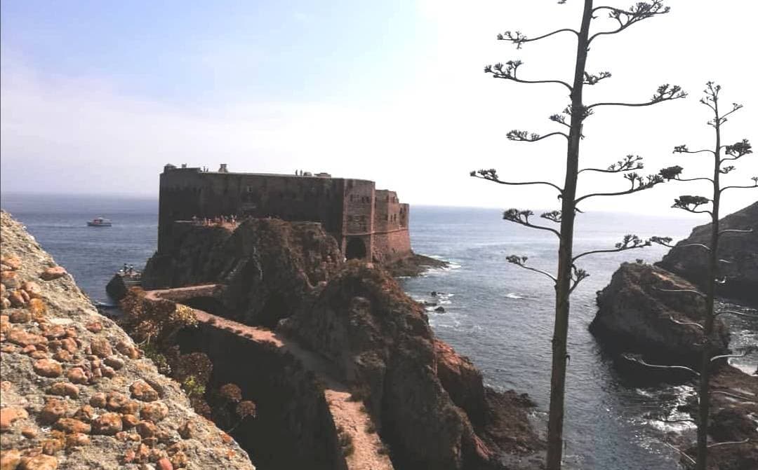 Lugar Berlenga Grande Island