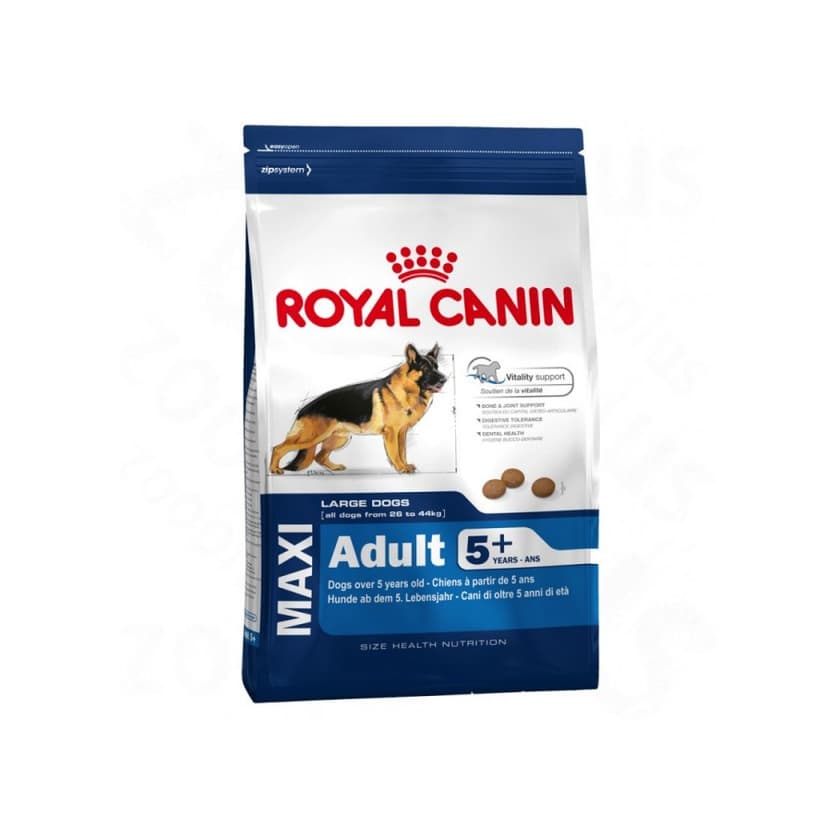 Producto Royal Canin MAXI Adult 5+