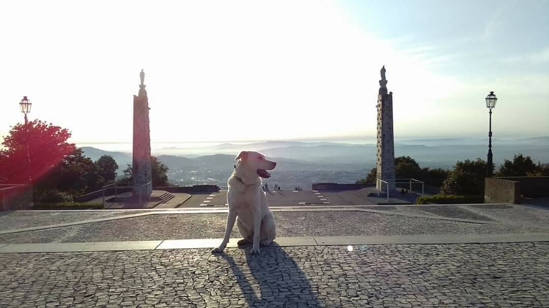 Place Basílica de Nuestra Señora de Sameiro