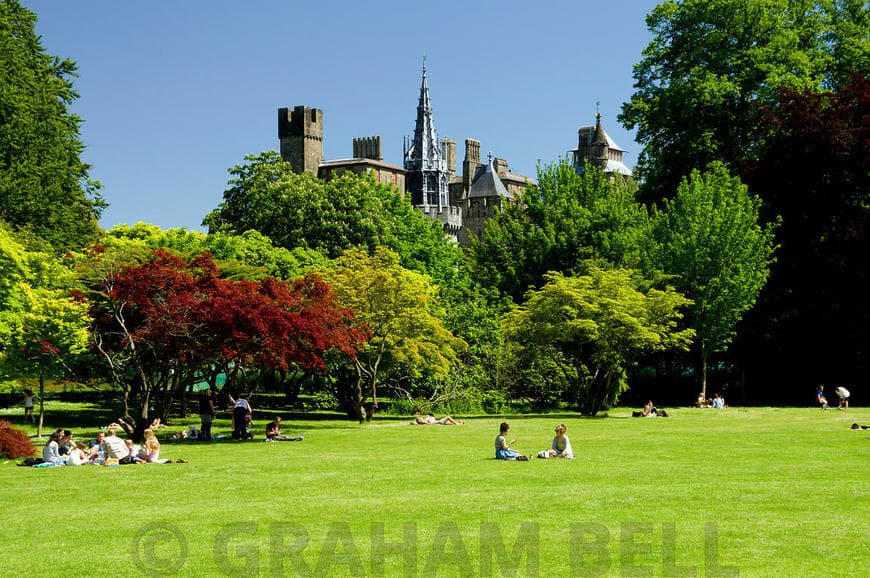 Lugar Bute Park