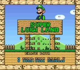 Videogames Super Luigi Land