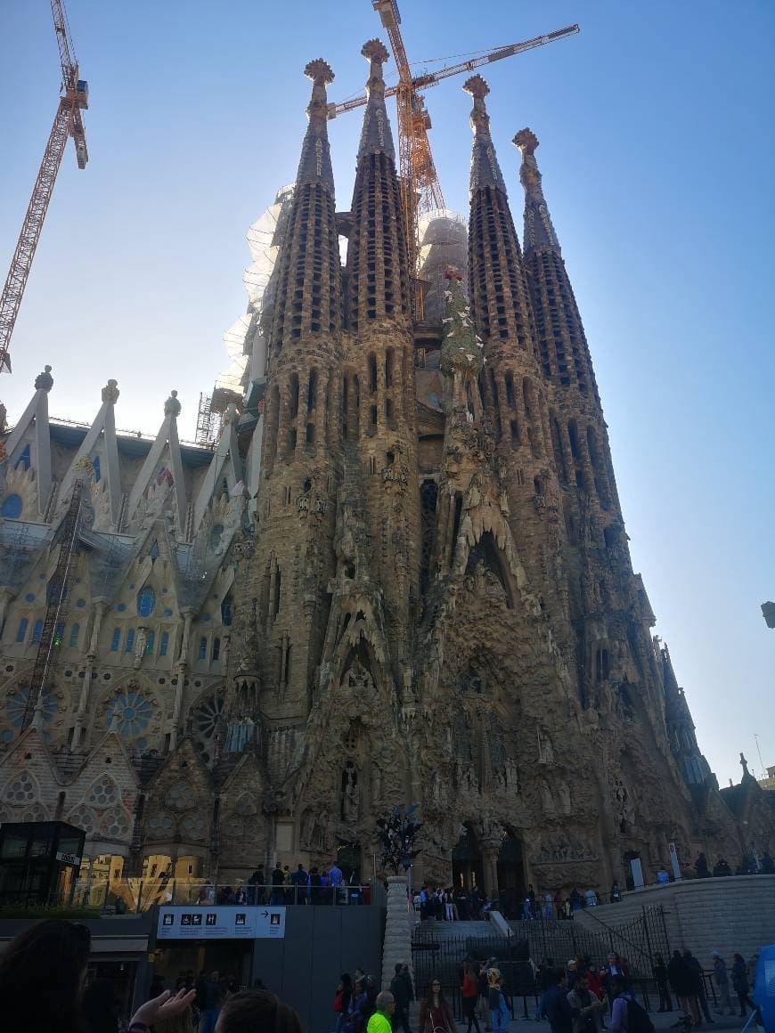 Lugar Basílica Sagrada Familia