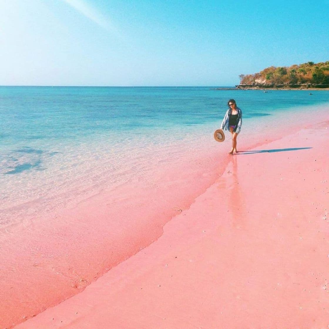 Place Pink Beach Lombok