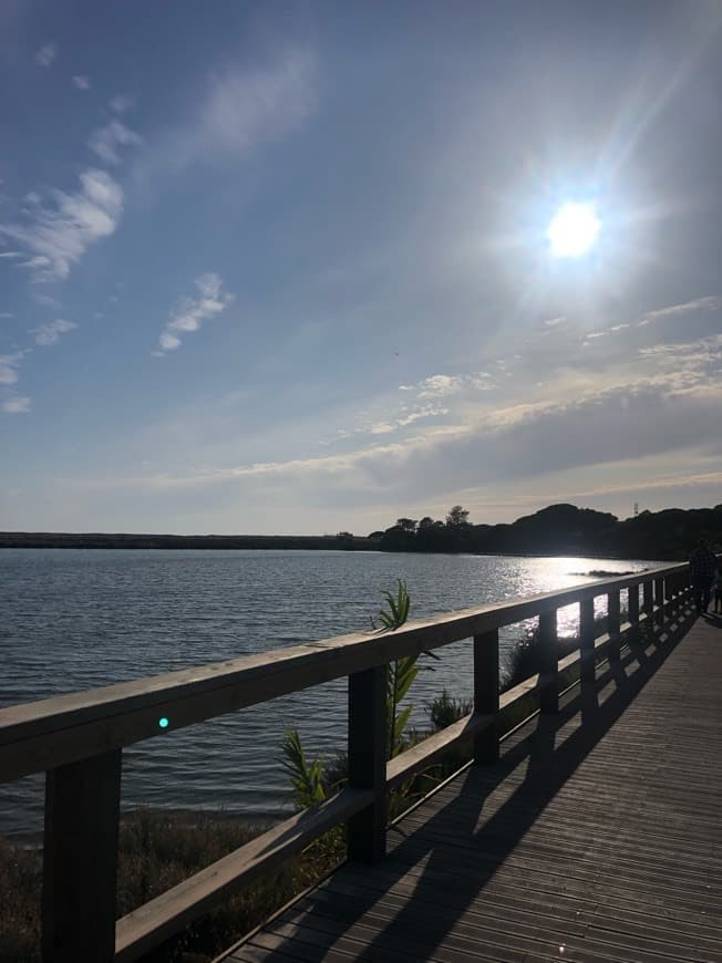 Lugar Quinta do Lago