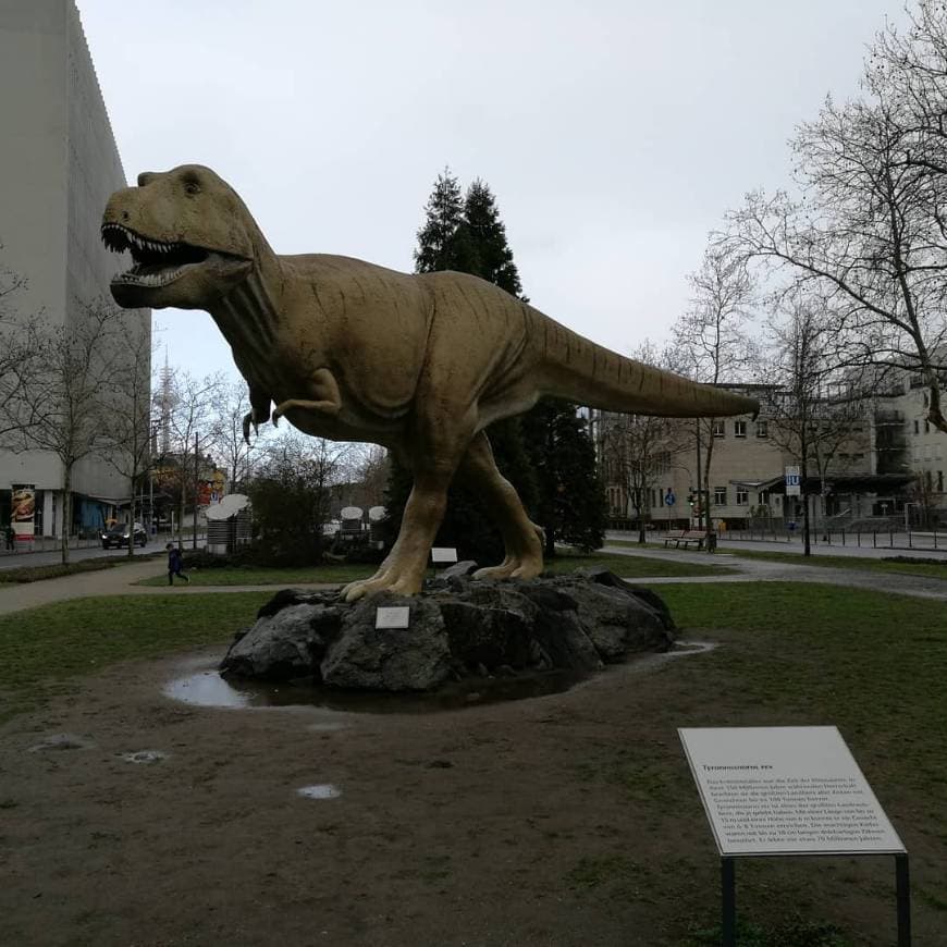 Lugar Museo de Senckenberg