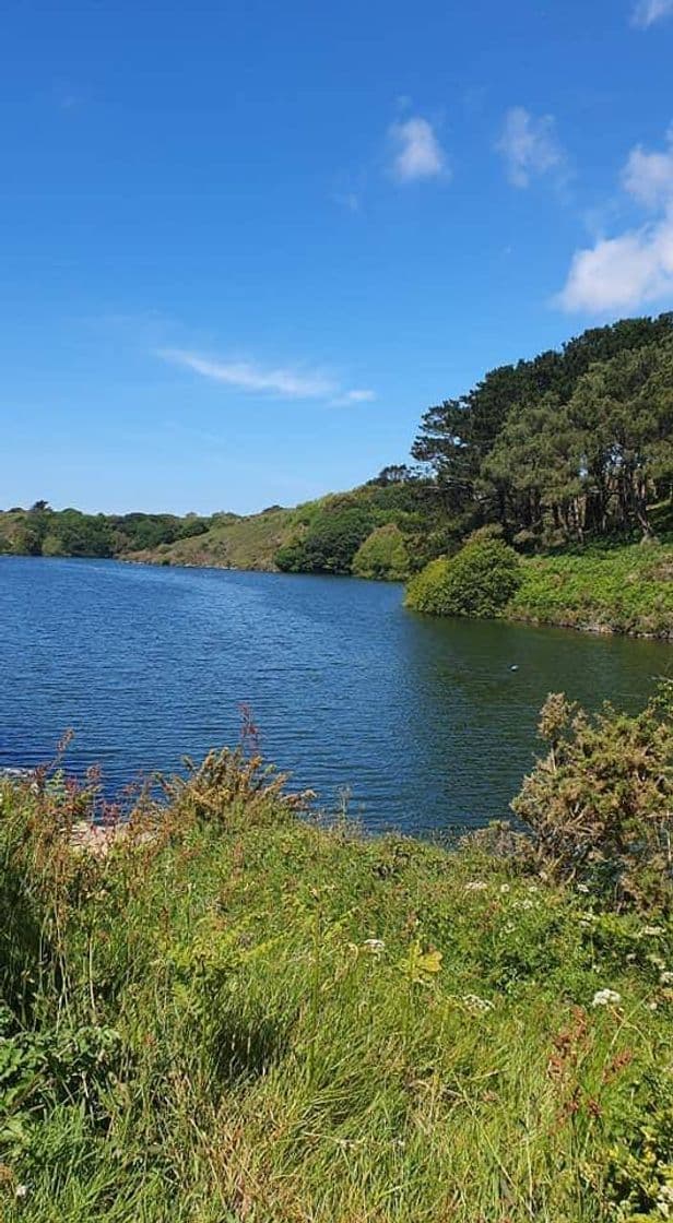 Lugar Val de la Mare Arboretum