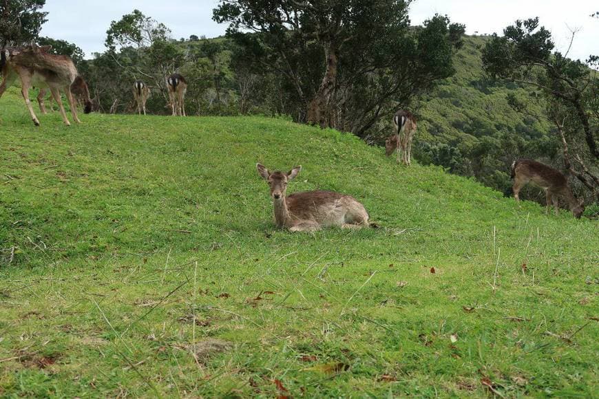 Lugar Monte Brasil