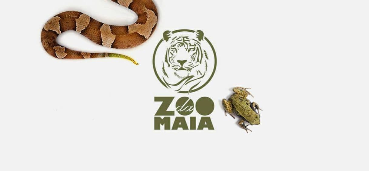 Lugar Zoo da Maia