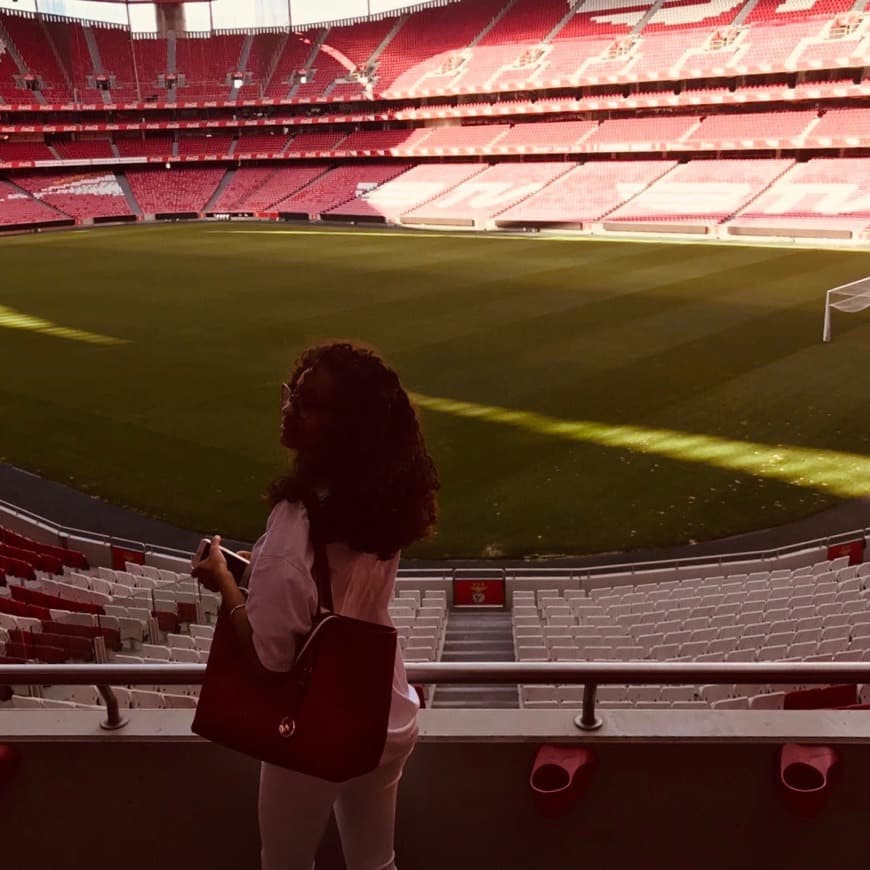 Place Estádio Sport Lisboa e Benfica