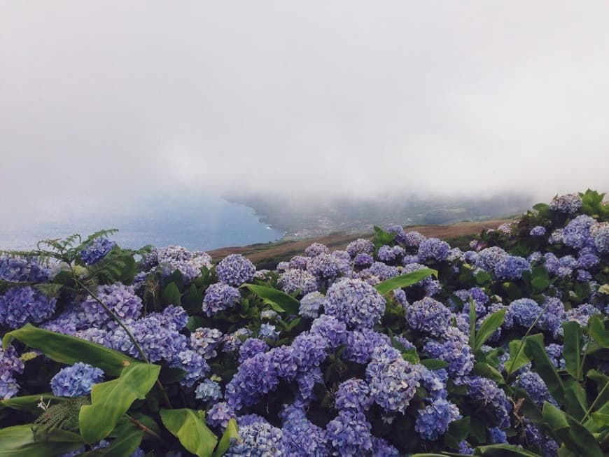 Lugar Açores