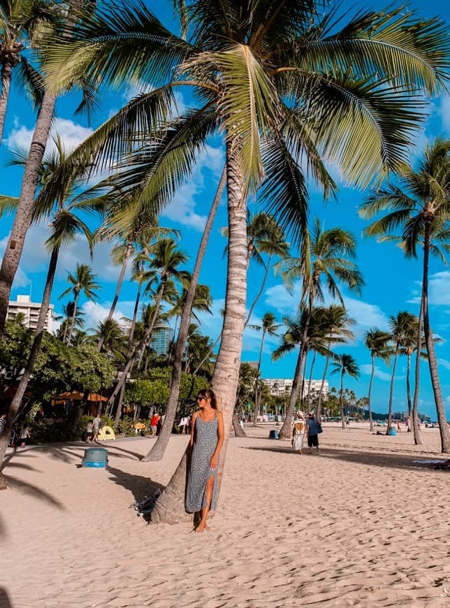 Place Waikiki Beach