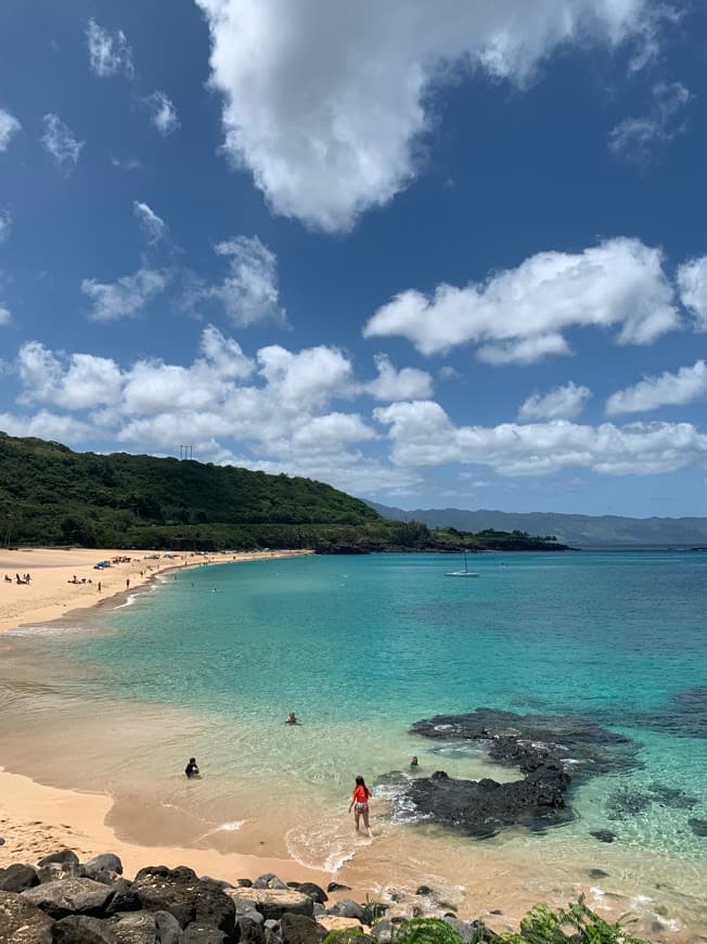 Place Waimea Bay