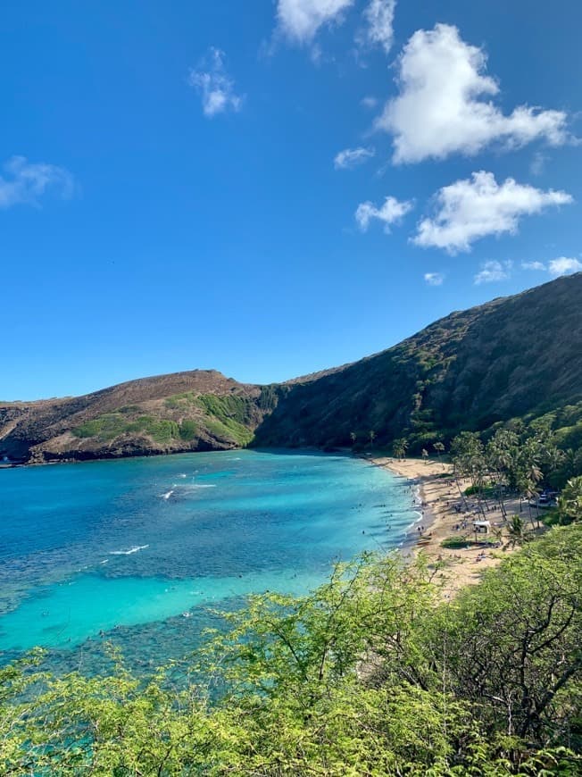 Place Hanauma Bay Nature Preserve