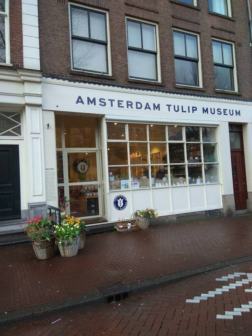 Lugar Amsterdam Tulip Museum