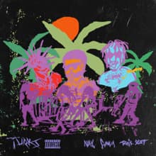 Music Travis Scott - Turks