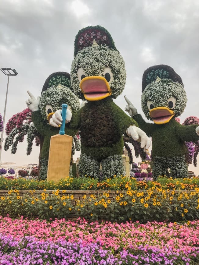 Lugar Miracle Garden