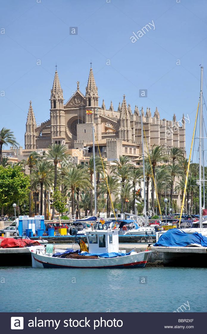 Place Puerto de Palma de Mallorca