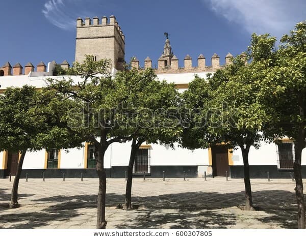 Lugar Plaza del Patio de Banderas