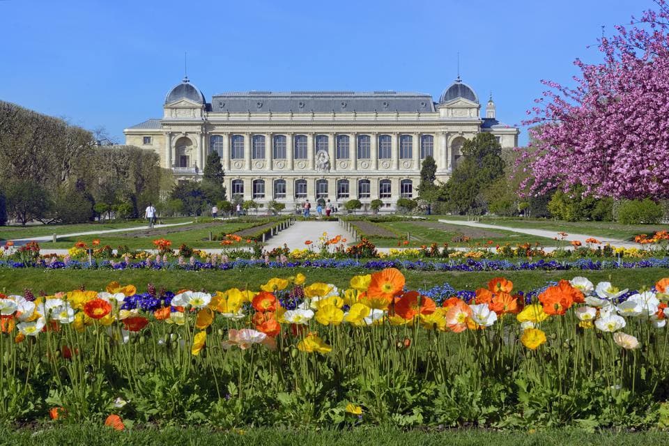 Place Jardin des Plantes