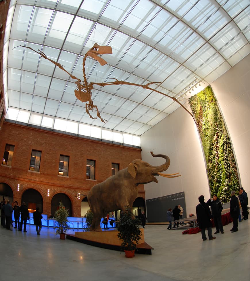 Lugar Museo de Historia Natural de Toulouse