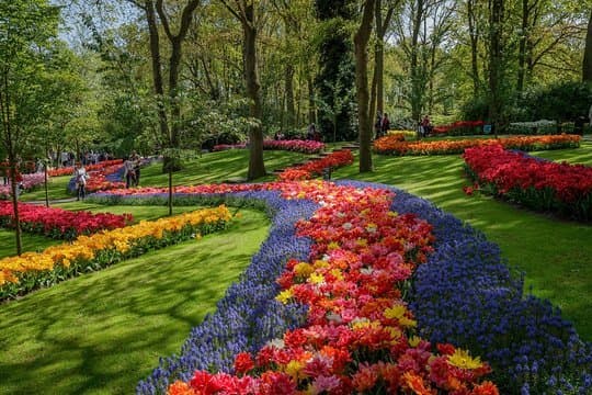 Lugar Keukenhof