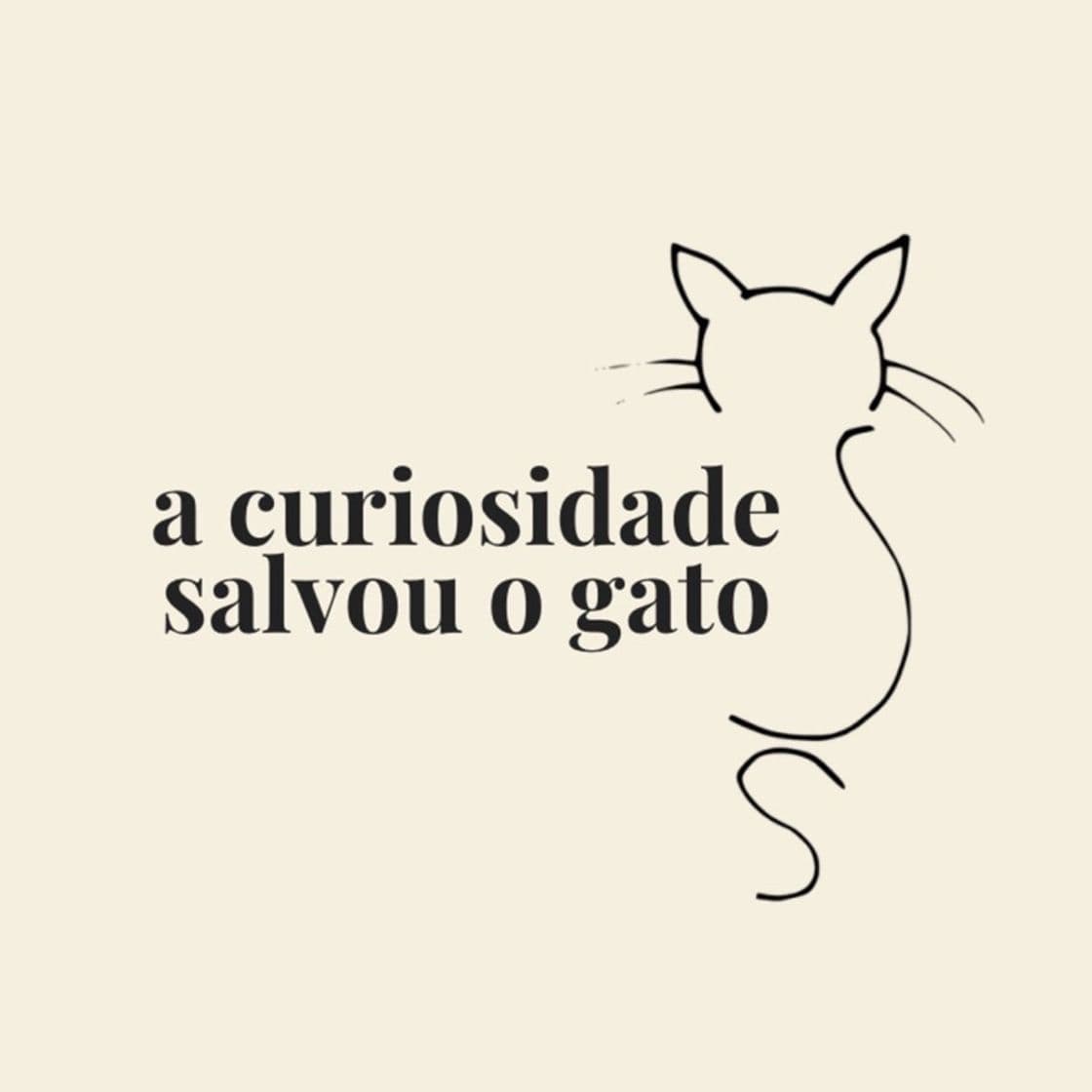 Music A curiosidade salvou o gato - Margarida Santos 