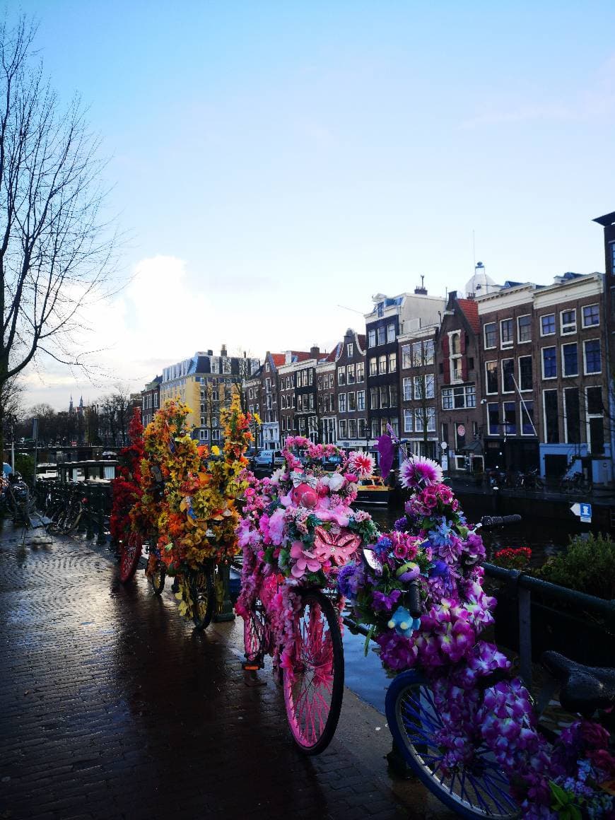 Place Casa de Anne Frank