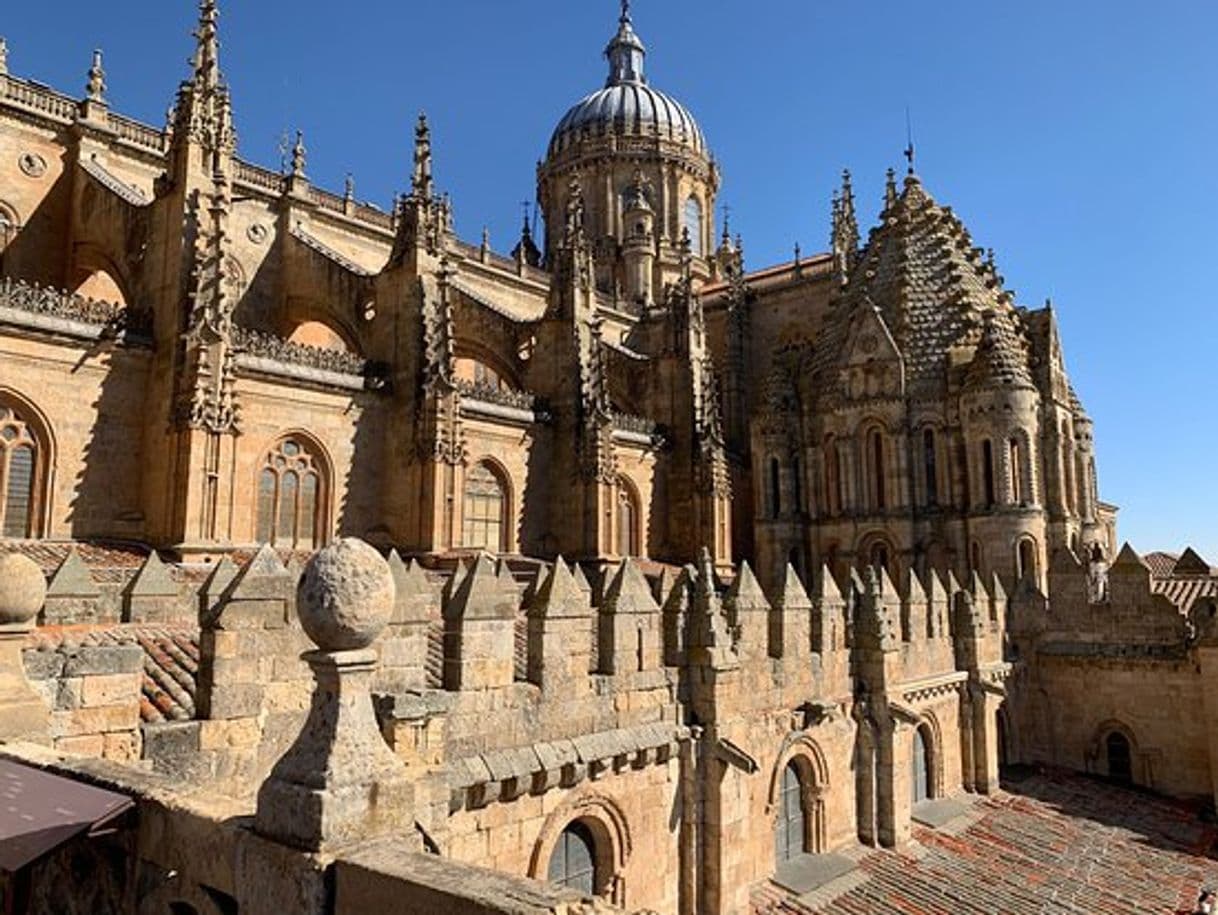 Lugar Catedral de Salamanca