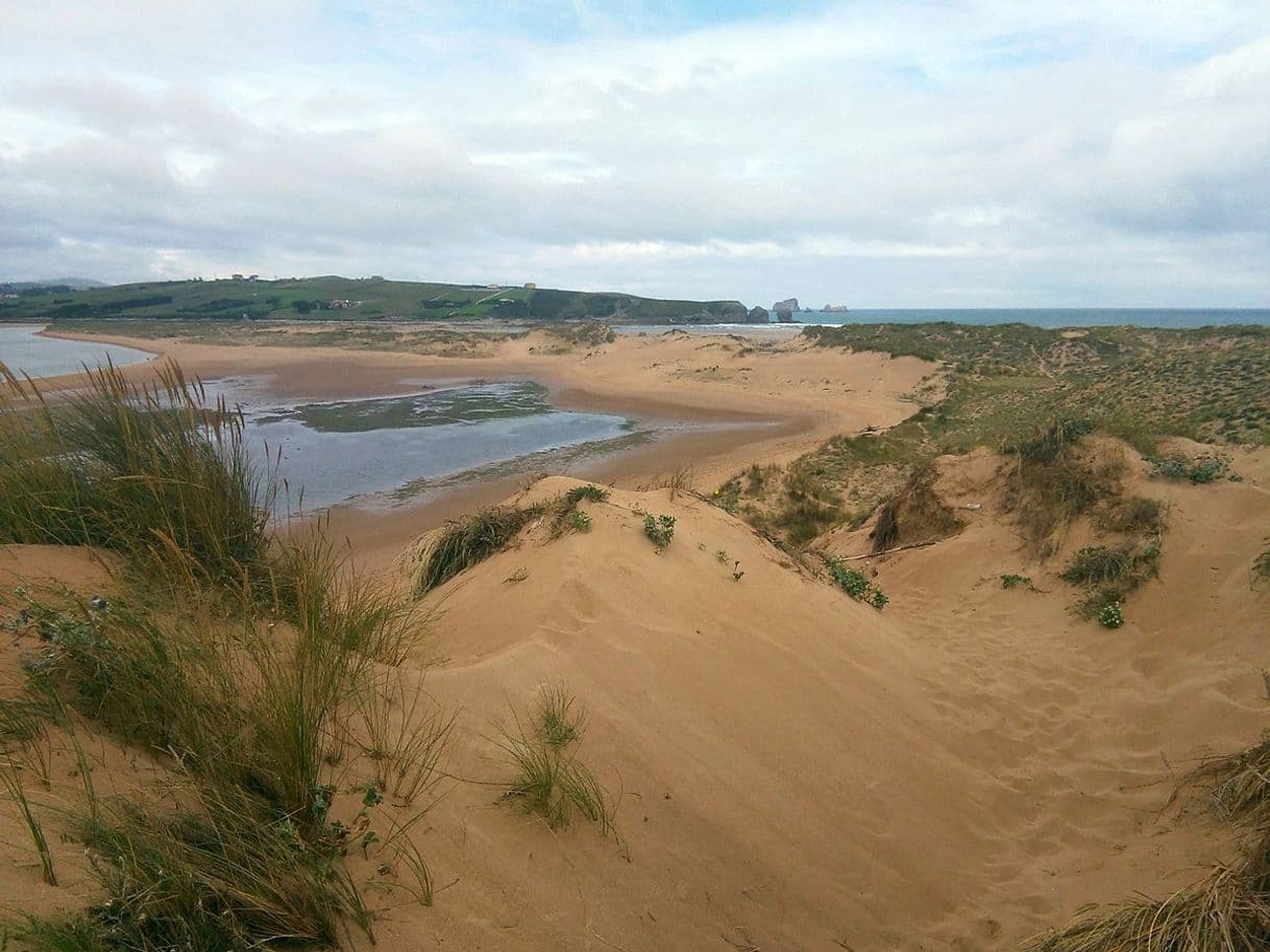 Place Parque Natural de las Dunas de Liencres