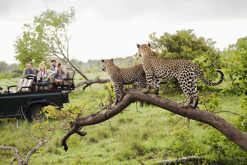 Lugar Parque nacional Kruger