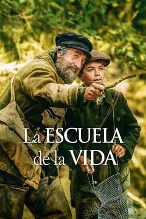 Película School of Life