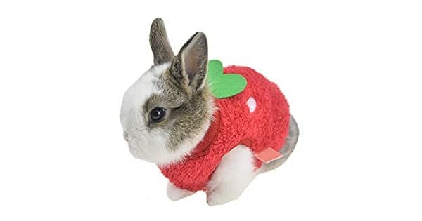 Product FLAdorepet Winter Warm Bunny Rabbit Clothes Small Animal Chinchilla Ferret Costume Outfits