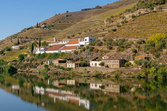 Place Quinta de la Rosa