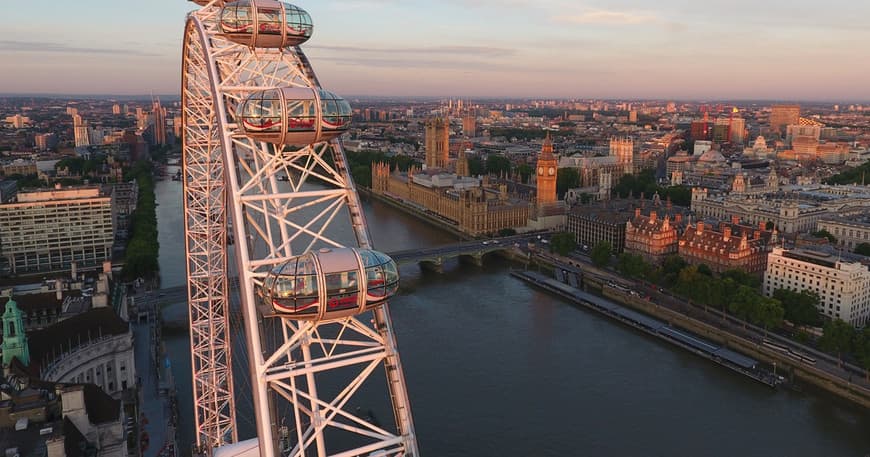 Place London Eye