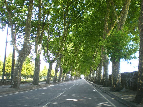 Lugar Avenida do Cabedelo