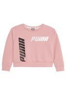 Fashion Puma MODERN SPORTS CREW - Sweatshirt - bridal rose - Zalando ...