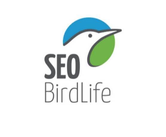 Fashion SEO BIRDLIFE