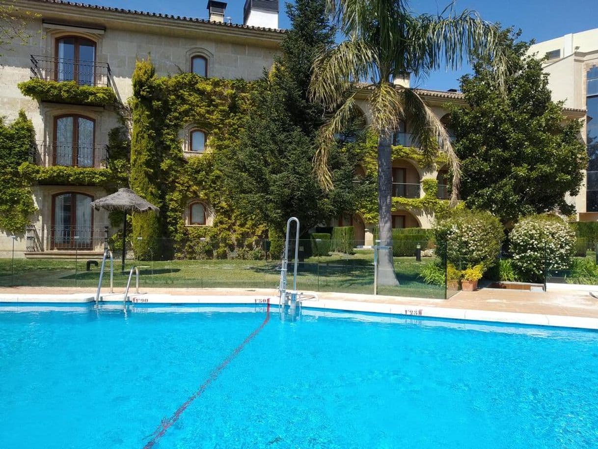 Lugar Parador de Ronda