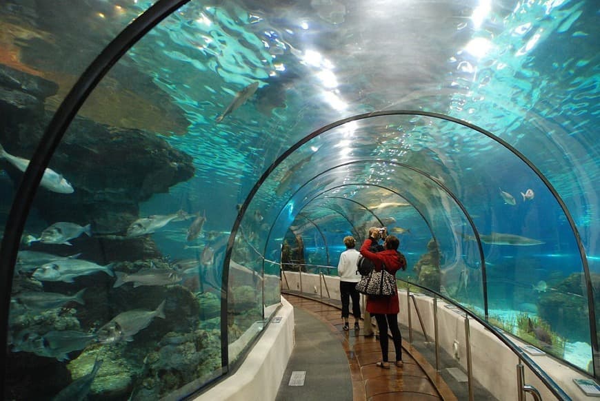 Place Aquarium de Barcelona