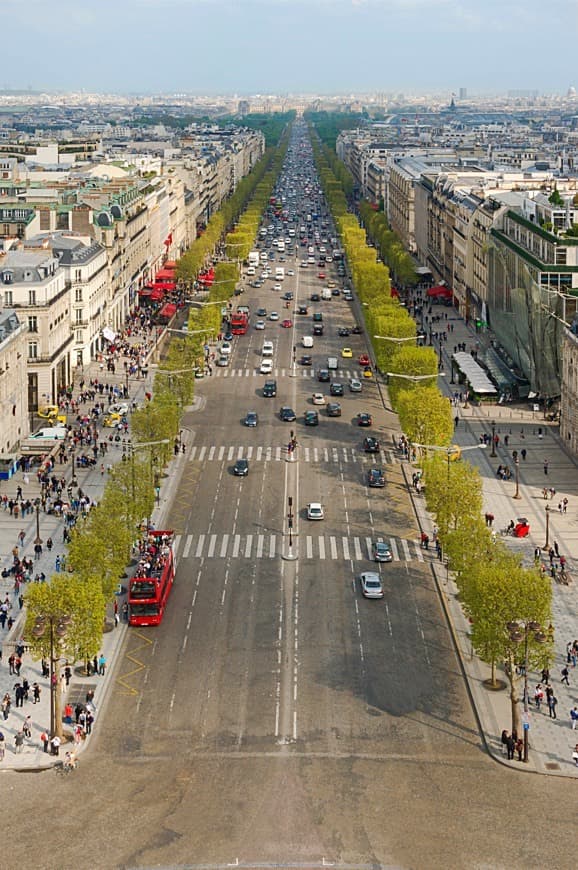 Place Avenida Champs Elysee