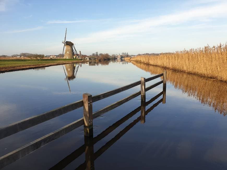 Lugar Kinderdijk