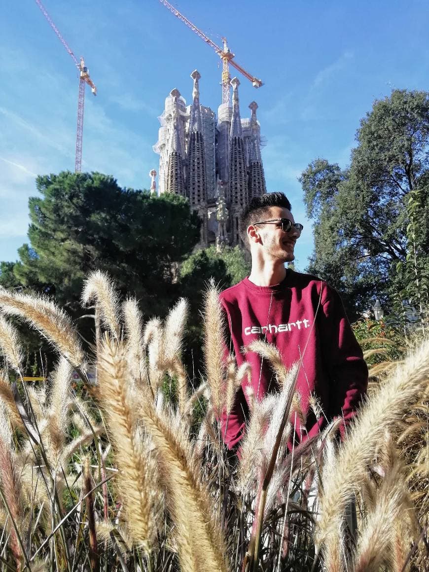 Lugar Basílica Sagrada Familia