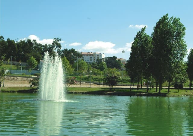 Place Parque da Cidade