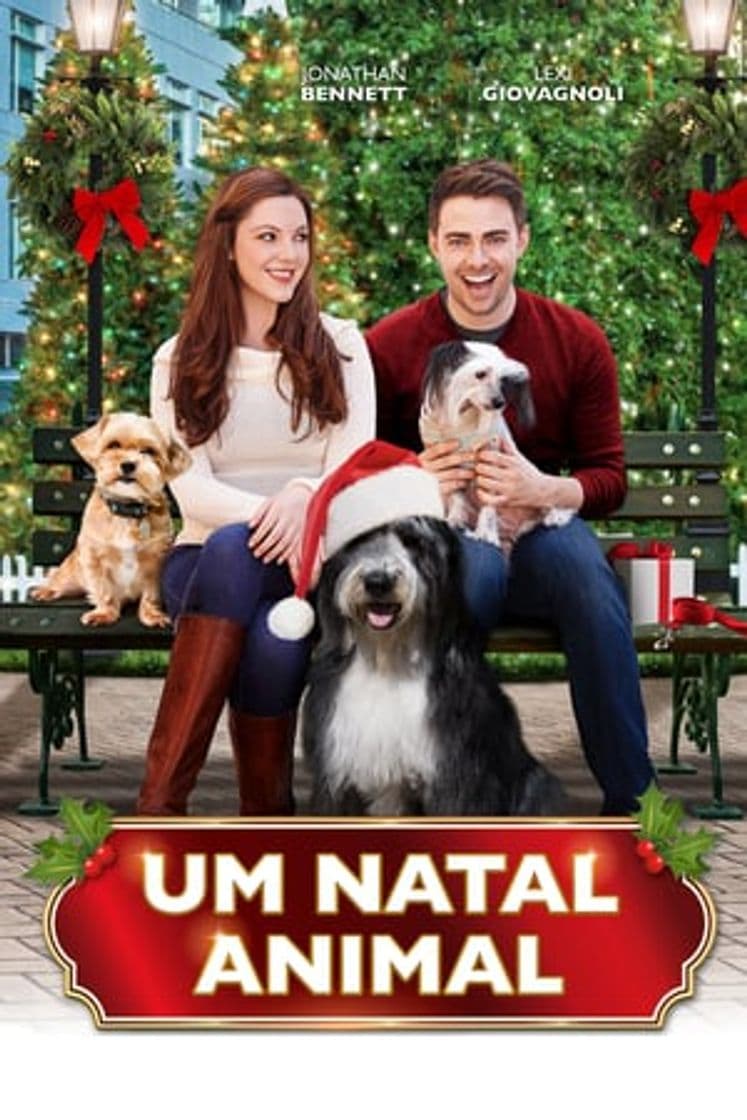 Película A Dogwalker's Christmas Tale