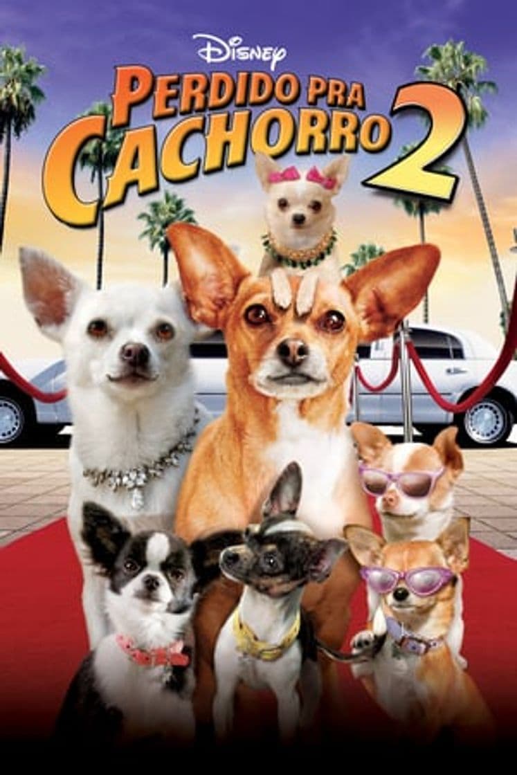 Película Beverly Hills Chihuahua 2