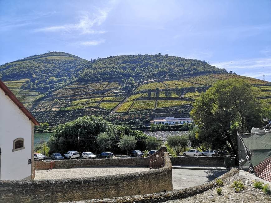 Lugar Caves Symigton Douro