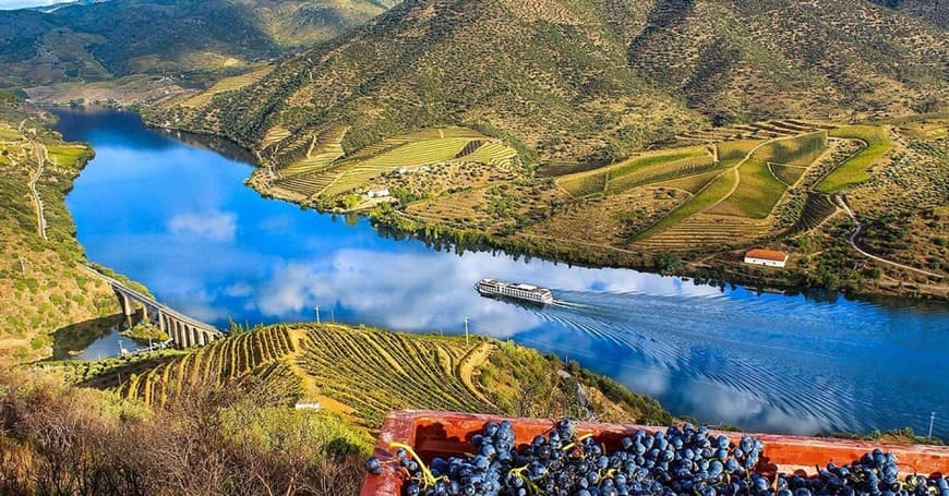 Place Alto Douro Wine Region (UNESCO)